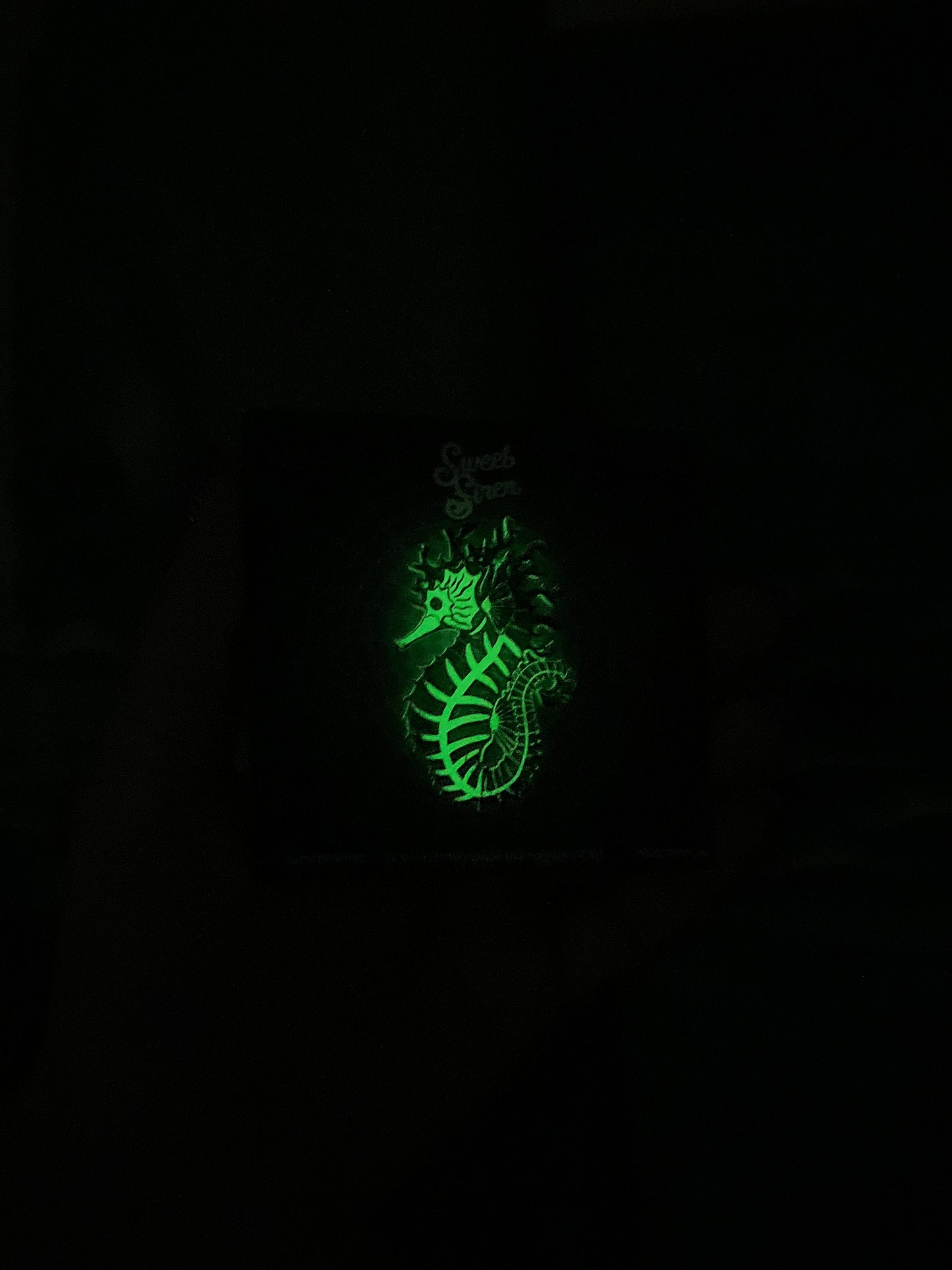 Skeleton Seahorse PIN Glow-in-the-Dark