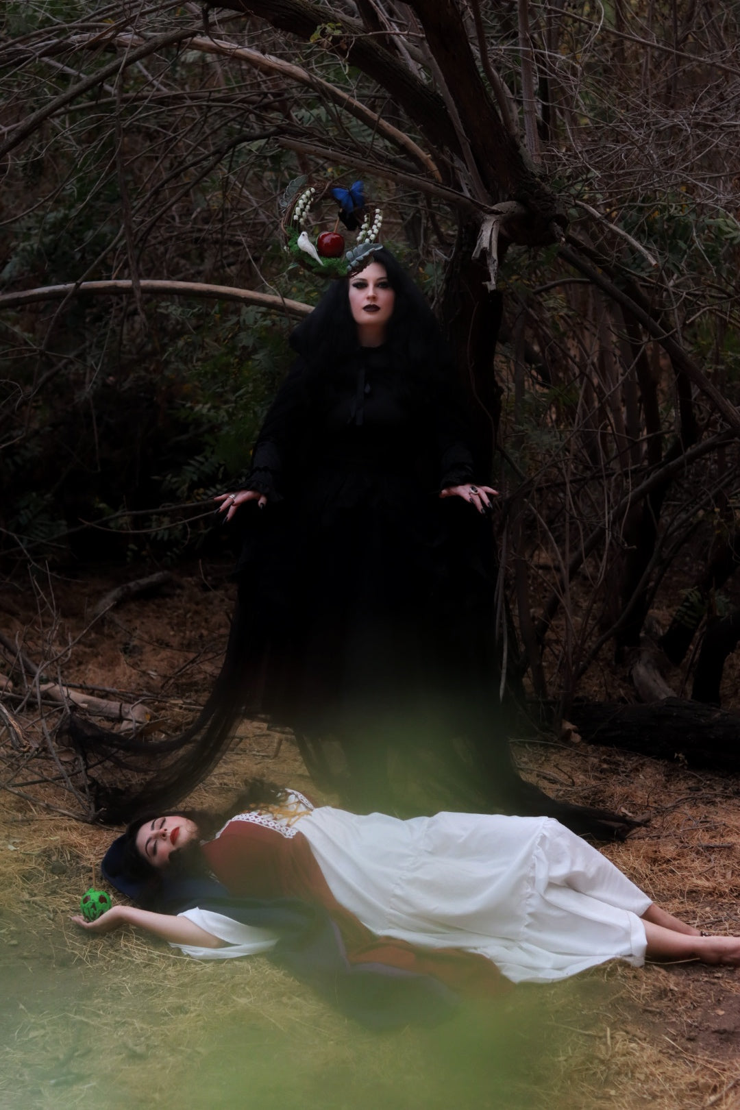 The Snow White & Evil Queen Wreath