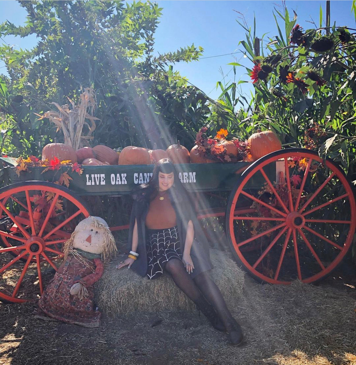 Spiderweb Skater Skirt