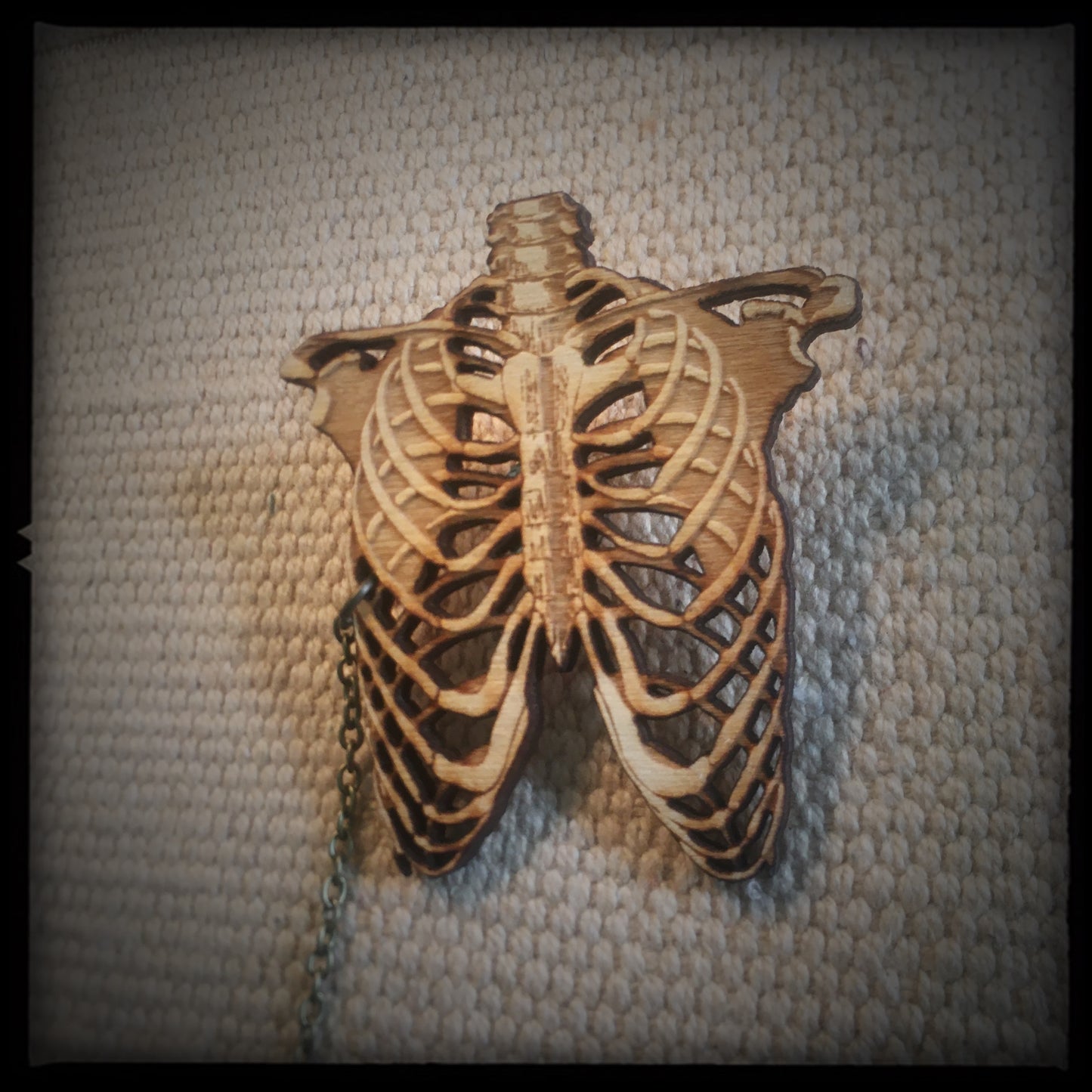Rib Cage and Heart - Sweater - Collar Pin set