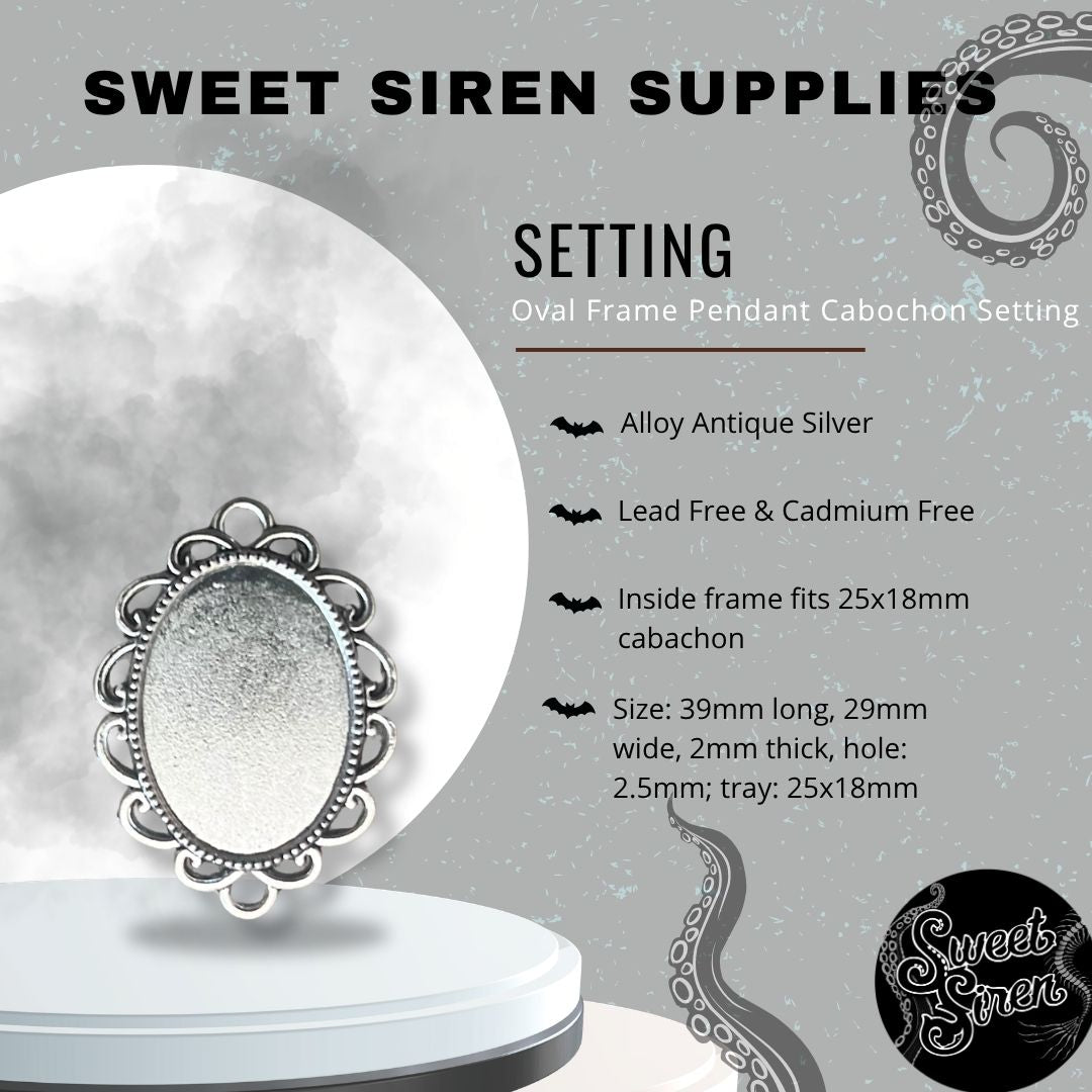 25x18 Silver Frame Setting