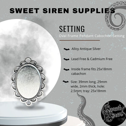 25x18 Silver Frame Setting
