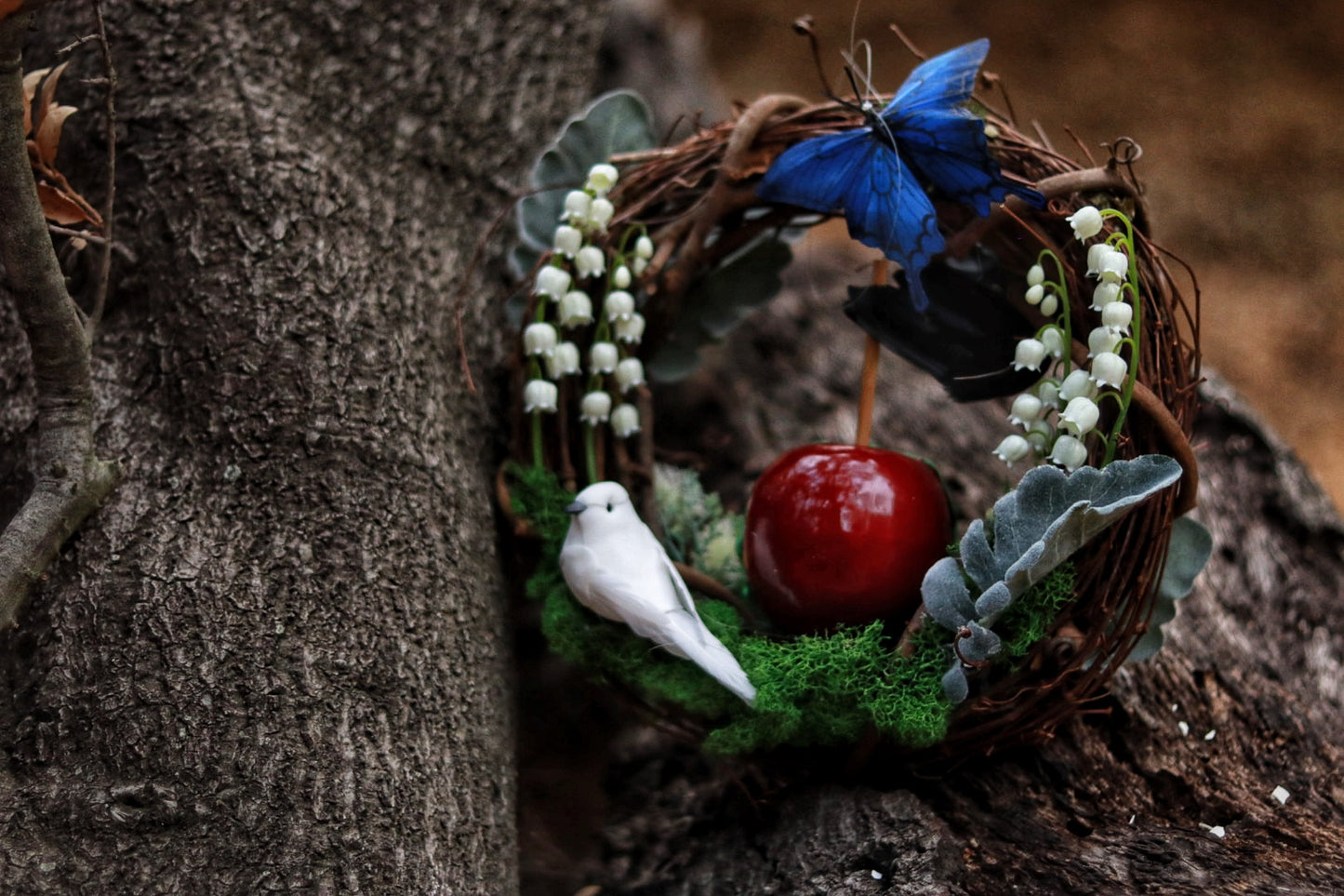The Snow White & Evil Queen Wreath