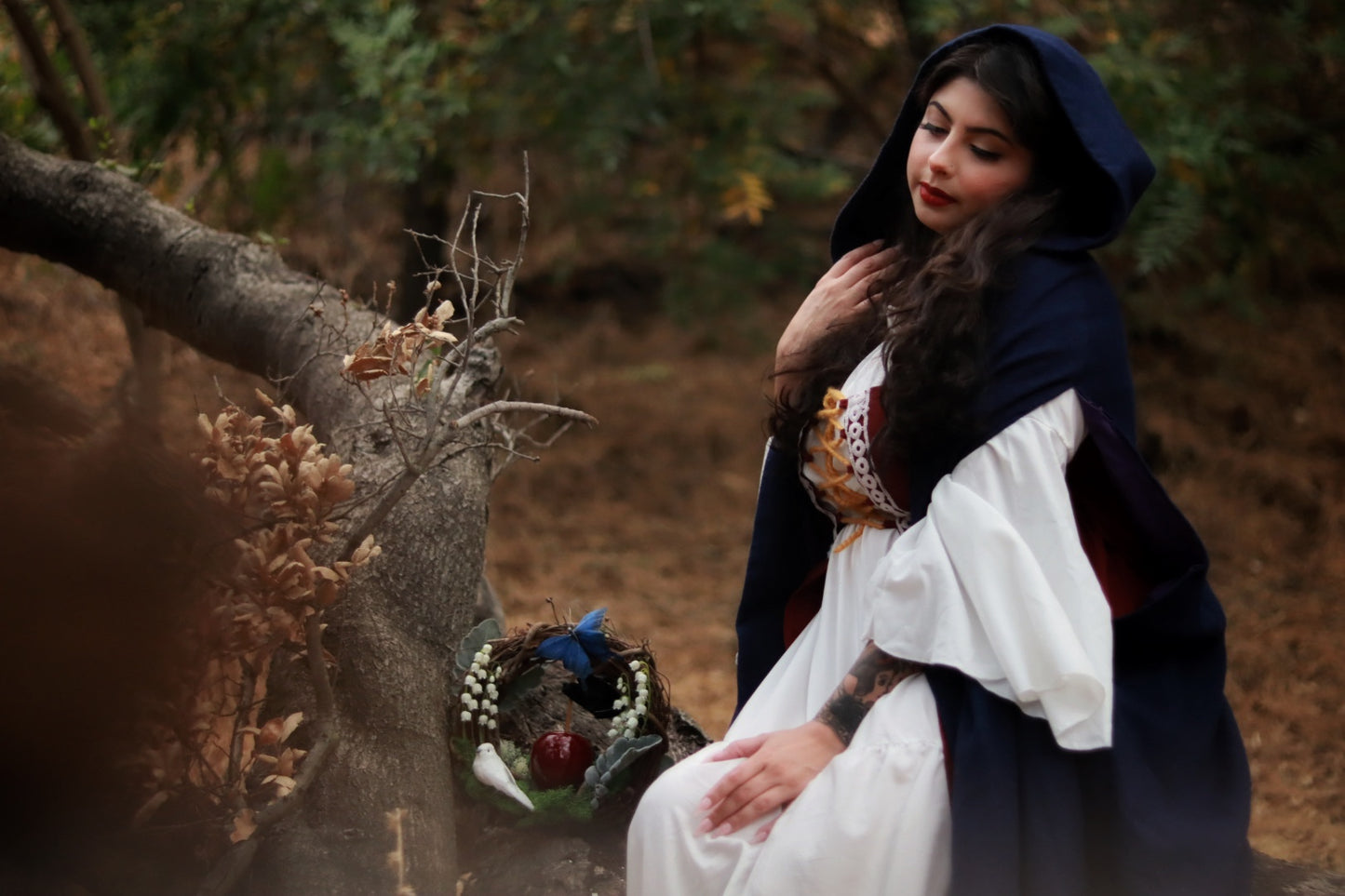 The Snow White & Evil Queen Wreath