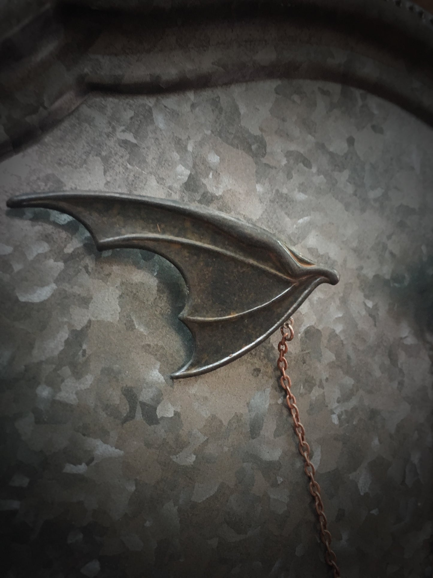 Bat Wing -Collar Pin set