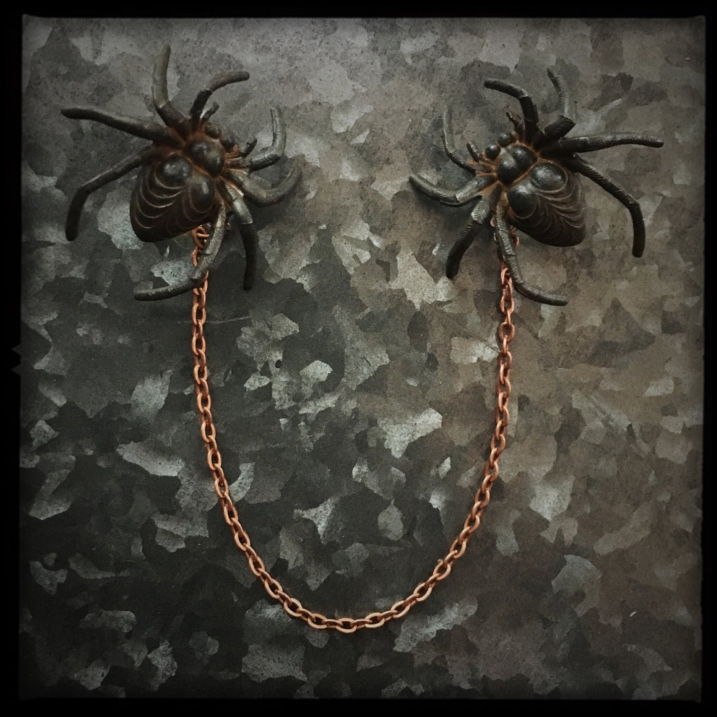 Spider -Collar Pin set