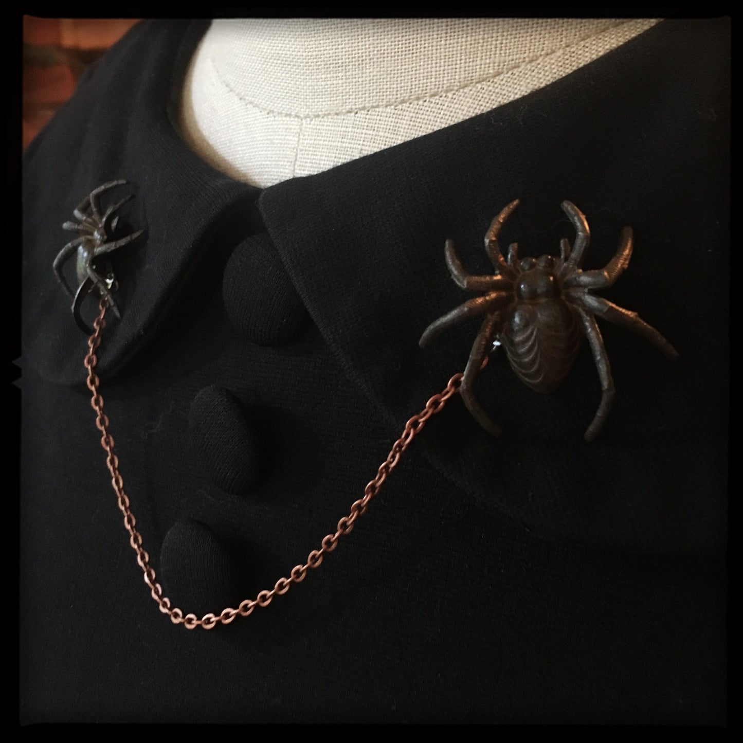 Spider -Collar Pin set