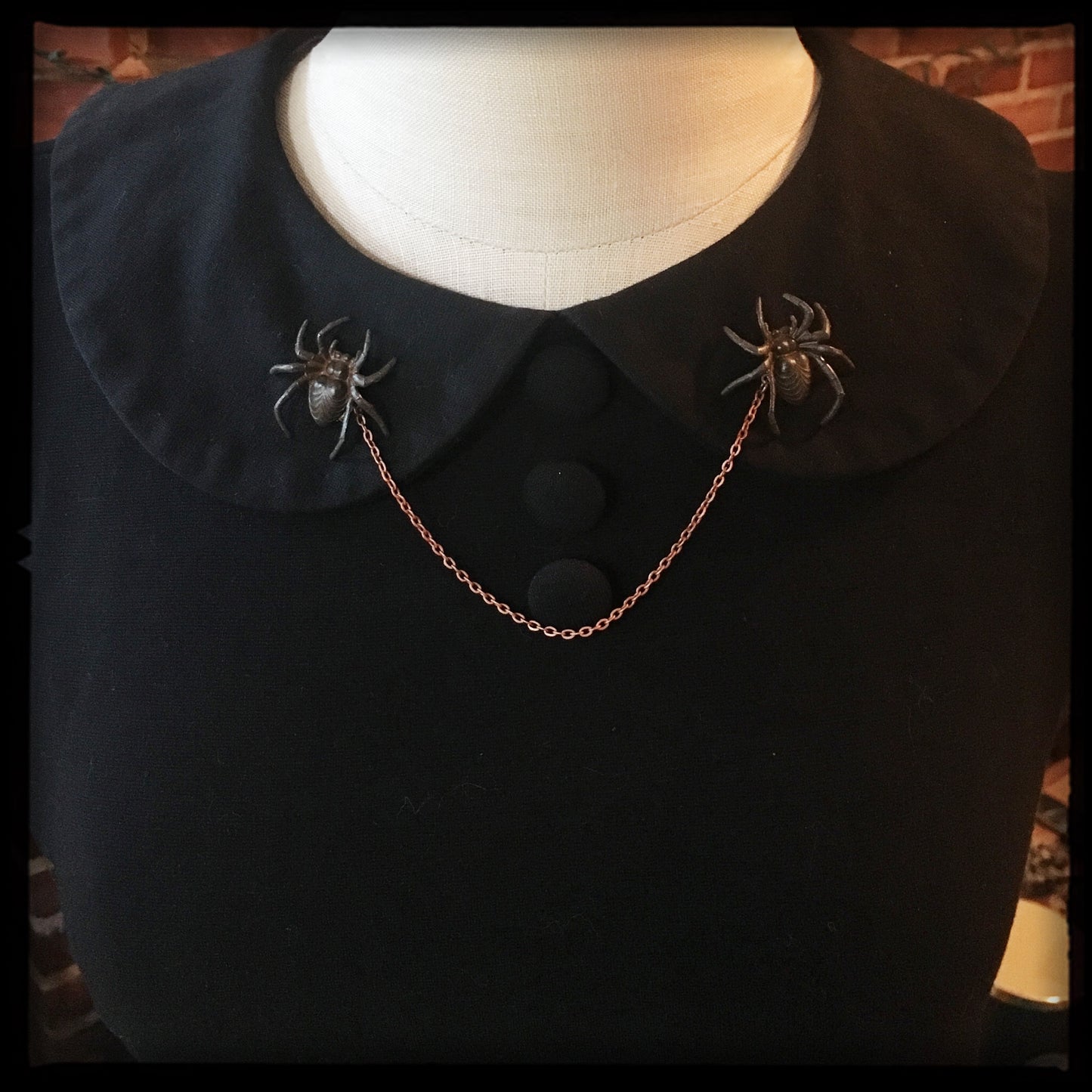 Spider -Collar Pin set