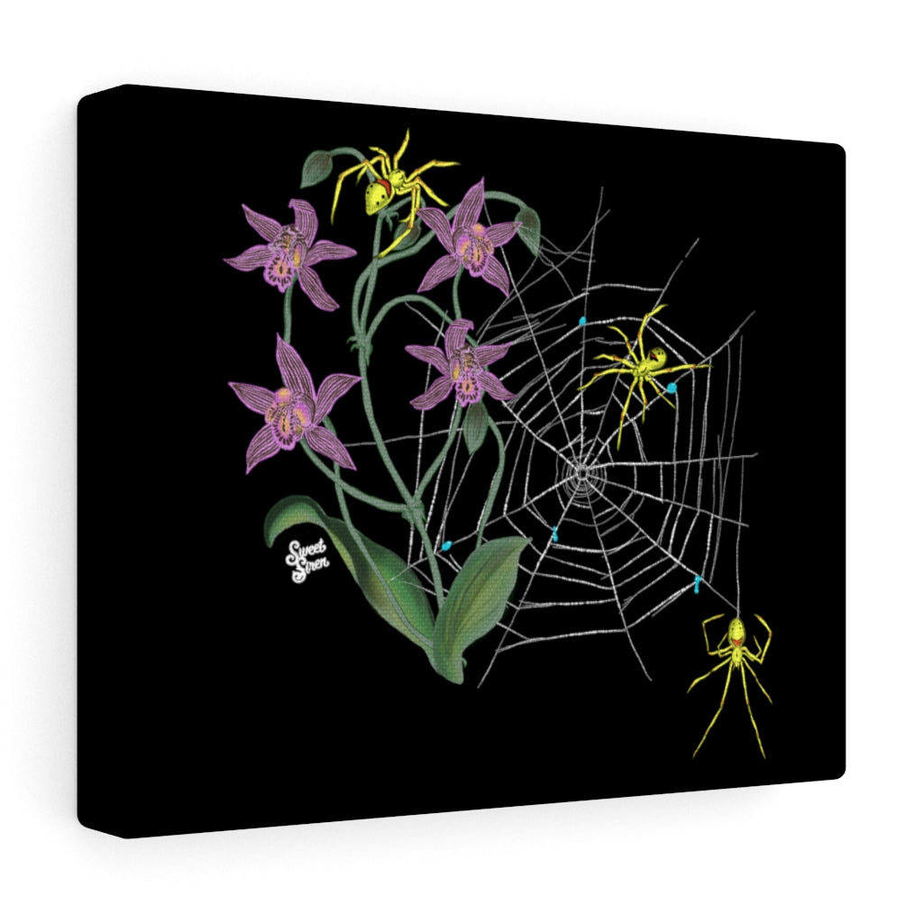 Summer SpiderWeb - 10 x8" Canvas