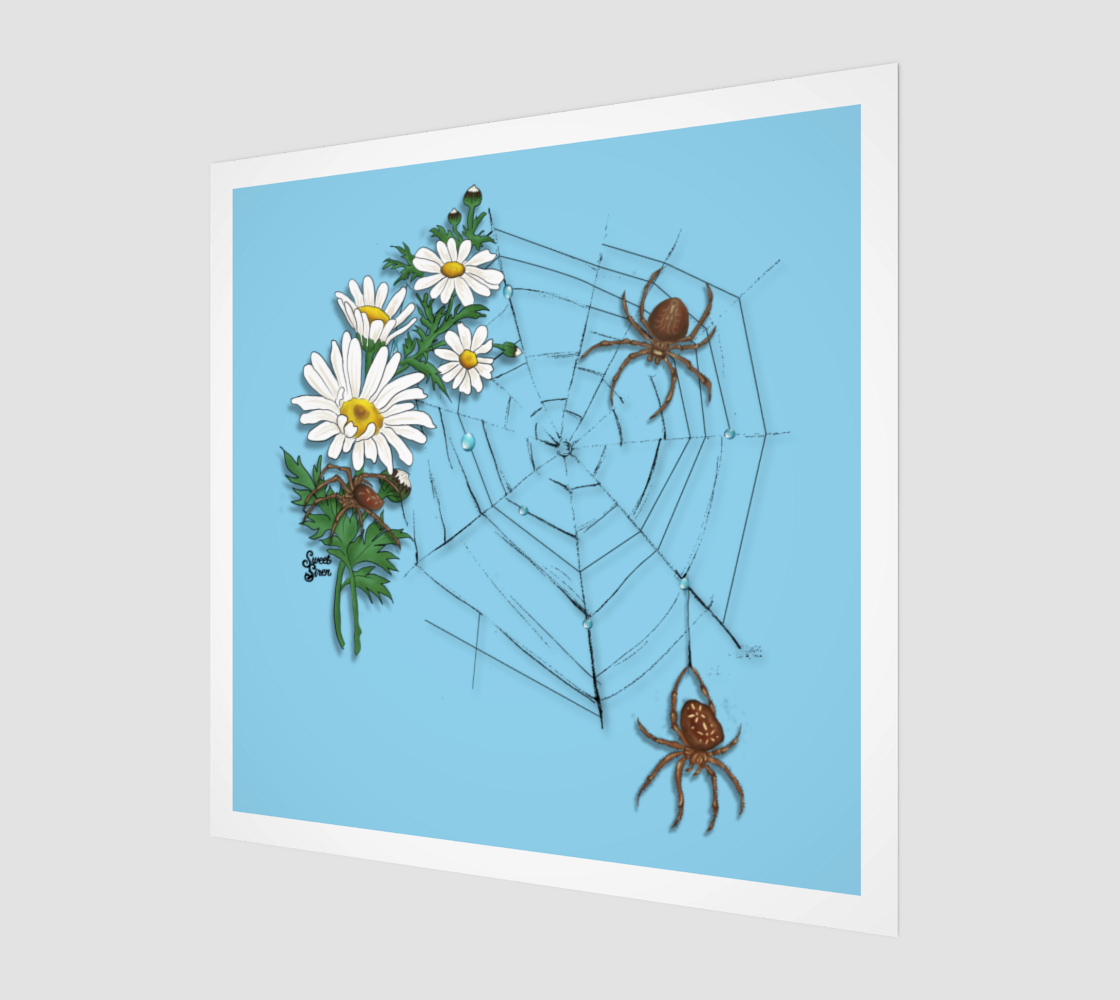Daisy Spider Web - Art Print