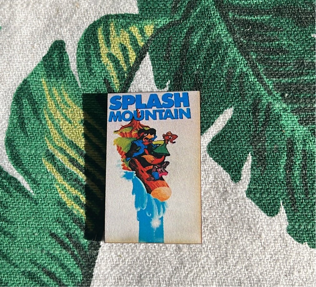 Splash Mountain - Poster Pin