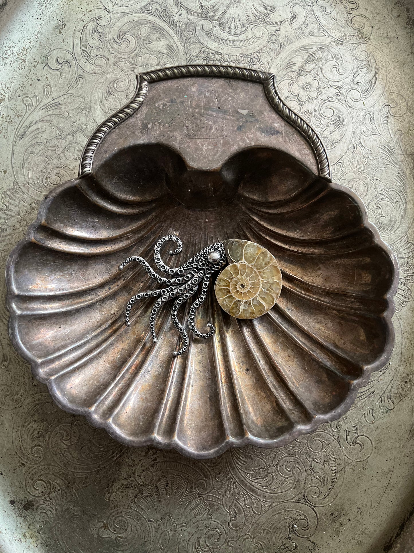 Nautilus Shell Tentacle Brooch
